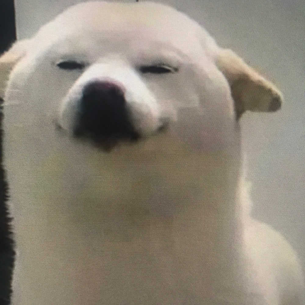 Meet your Posher, Magdalena